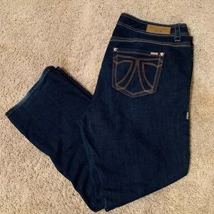 Melissa McCarthy Seven7 Jeans